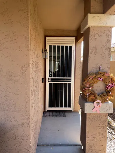 Decorative metal security door from Arizona Screen Techs’ project library.